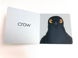 Crow Book