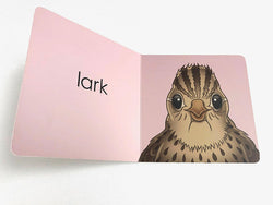 Lark Book