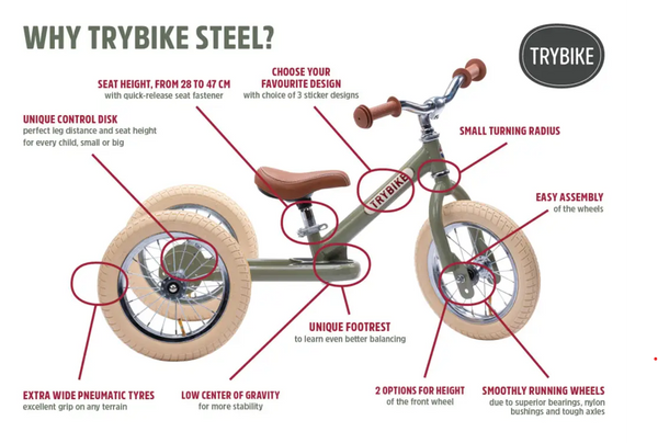 Vintage Trybike  2-in-1