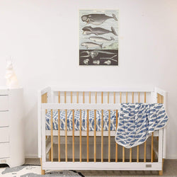 Babyhood Riya Cot 5 in 1