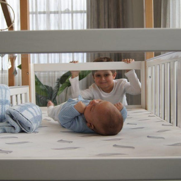 Babyhood Kaylula Mila Cot 4 in 1