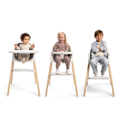 Nuna Bryn Highchair