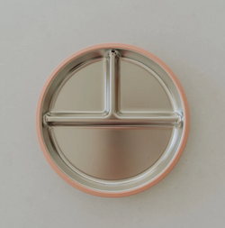 Ease Baby the Grip Stainless Steel Plate