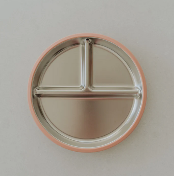 Ease Baby the Grip Stainless Steel Plate