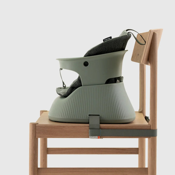 Hannie Portable Highchair - Sage Green