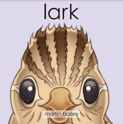 Lark Book