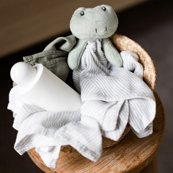 Little Bamboo Comforter- Freddie Frog