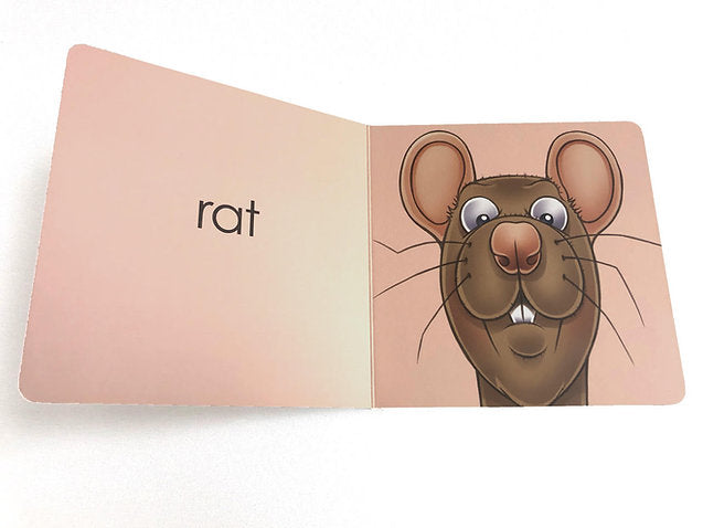 Elementary Book Rats Rat Book