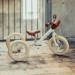 Vintage Trybike  2-in-1