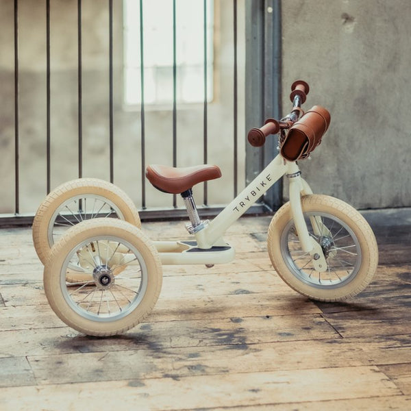 Vintage Trybike  2-in-1
