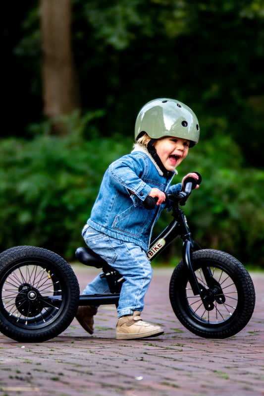 Vintage Trybike  2-in-1