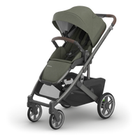 Evelyn (Meadow Green/Carbon