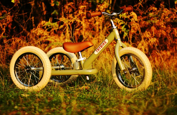Vintage Trybike  2-in-1