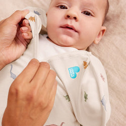 Love To Dream Swaddle Up™ Original 1.0 TOG - Dino Snore