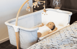 Babyhood Kaylula Co-Sleep Cradle