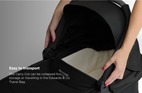 Travel carry cot sales