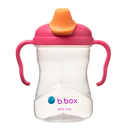 B.Box Spout Cup