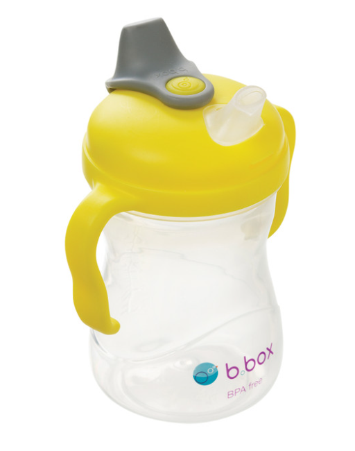 B.Box Spout Cup