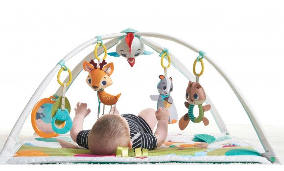 Tiny Love Into the Forest™ Gymini® Delux Playmat